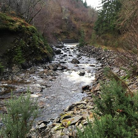 Treetops Bungalow Loch Ness 드럼나드로킷 외부 사진