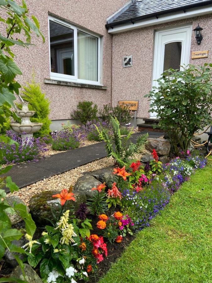 Treetops Bungalow Loch Ness 드럼나드로킷 외부 사진