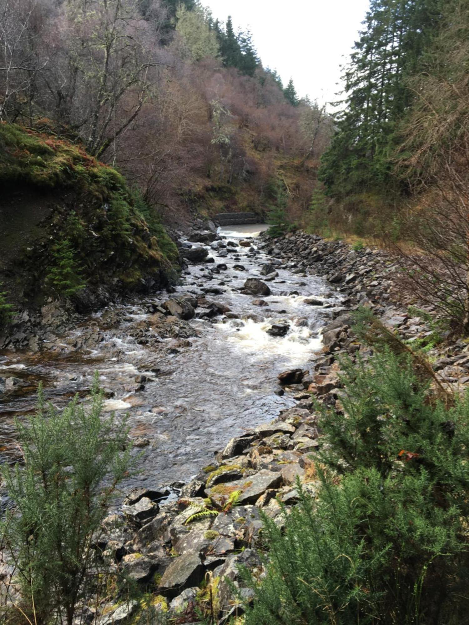 Treetops Bungalow Loch Ness 드럼나드로킷 외부 사진