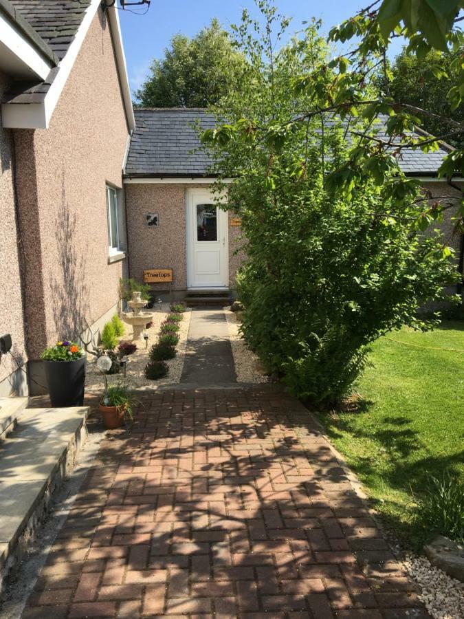 Treetops Bungalow Loch Ness 드럼나드로킷 외부 사진